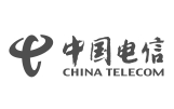 合作伙伴 中國電信